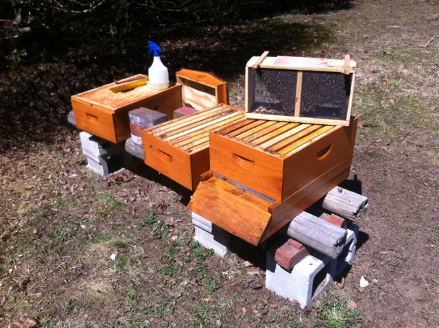 Installing a package of bees.  Empty hive, some sugar water, and a hive tool is just about all you need.