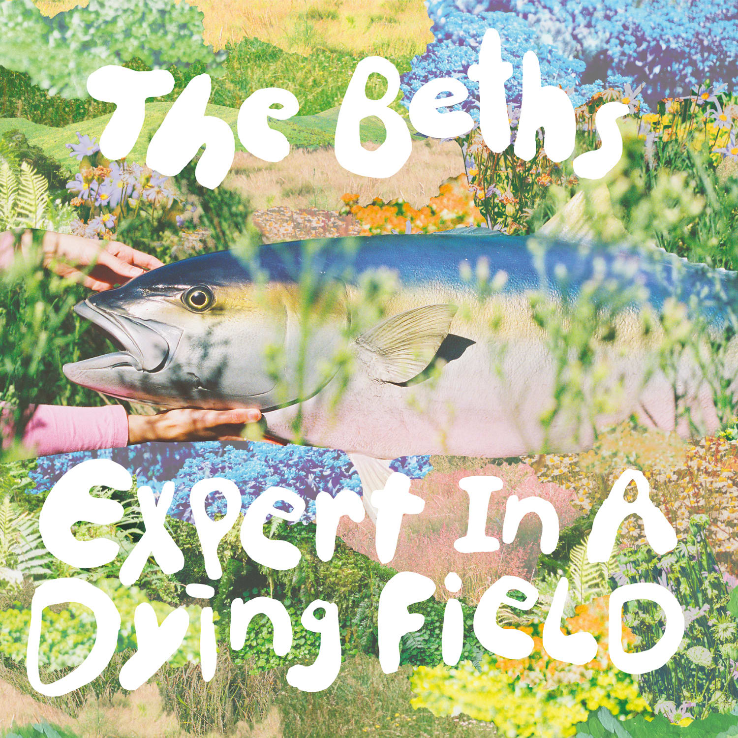 The Beths - "Expert In A Dying Field"